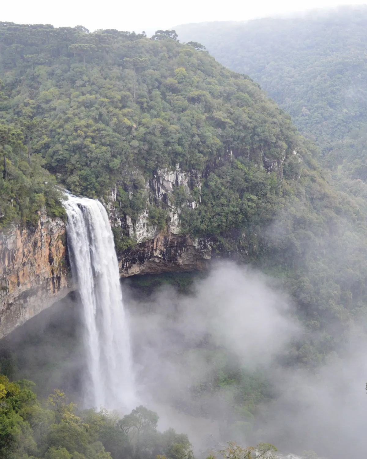Tour Aparados da Serra (Canyons)